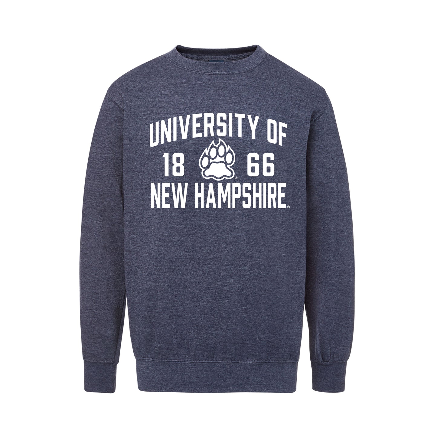 Collegiate Design Crewneck